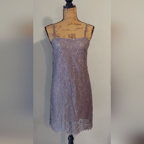 NWT Susana Monaco Lace Mini Dress Sz 4 Pigeon Gray - Picture 1 of 11